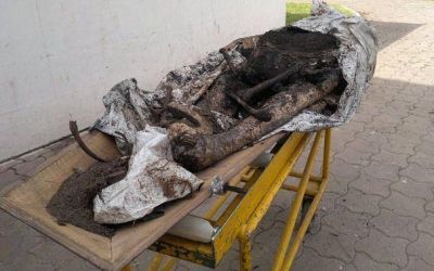 Cementerio Parque: denuncian que creman cuerpos violando la normativa