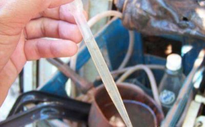 Nuevo relevamiento mostr� bajos �ndices de viviendas con criaderos del mosquito del dengue