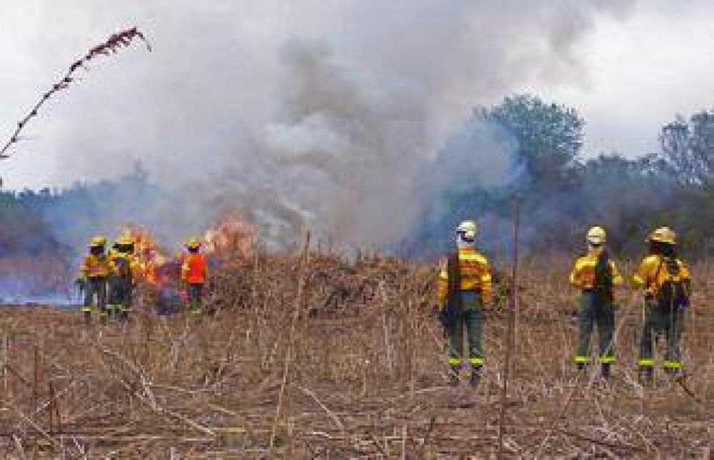 Brigadistas forestales trabajan con los bomberos voluntarios de General Mosconi