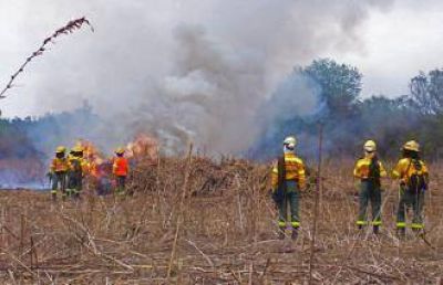Brigadistas forestales trabajan con los bomberos voluntarios de General Mosconi