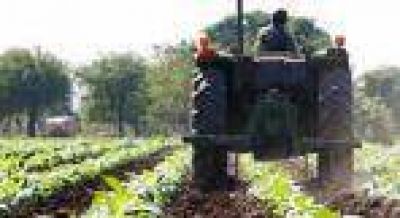 FET: �Por los caminos de absoluta normalidad�