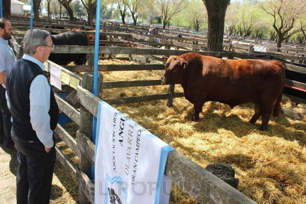 M�ltiples actividades y espect�culos en la Expo Olavarr�a