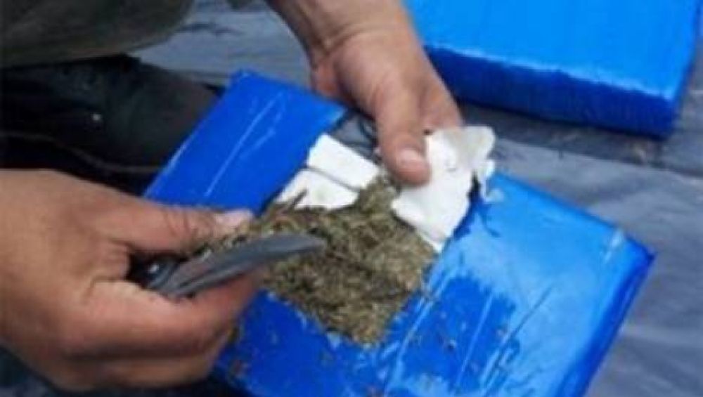 Secuestran 40 kilos de marihuana de un colectivo