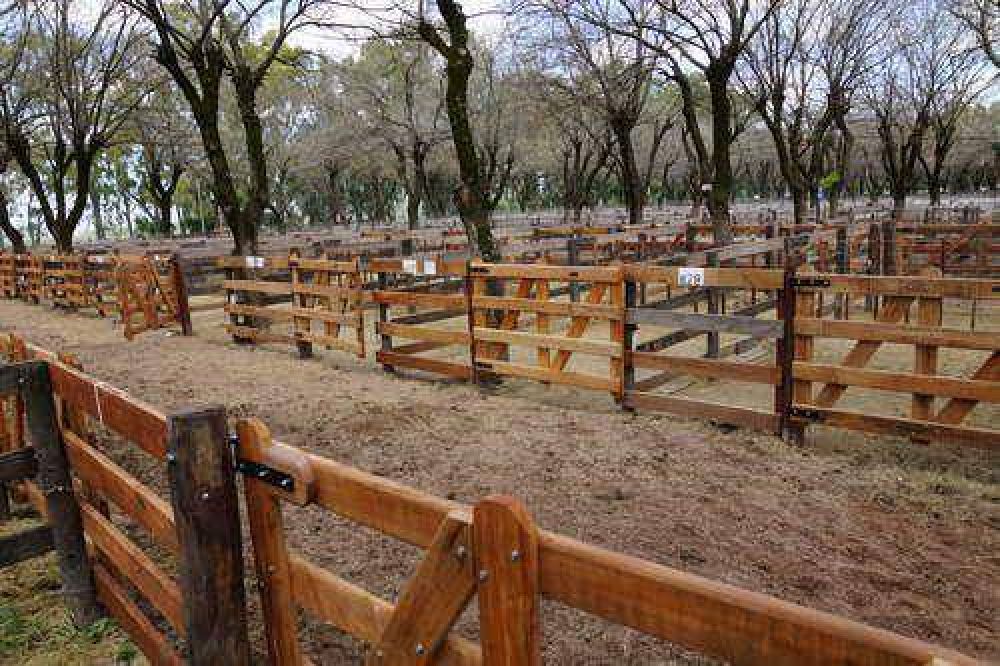 Azul vive, desde hoy y hasta el lunes, la feria que une al campo con la ciudad