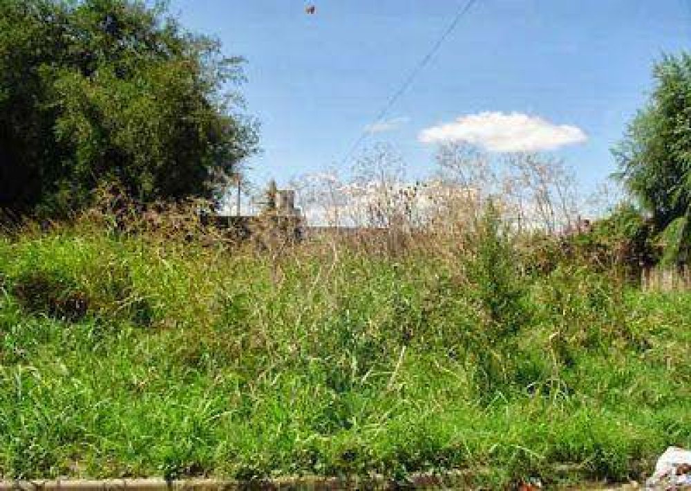 Los Municipios podr�n expropiar terrenos en los que sus due�os no proyecten ninguna edificaci�n
