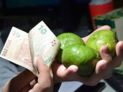 Aseguran que el precio de las verduras toc� su techo