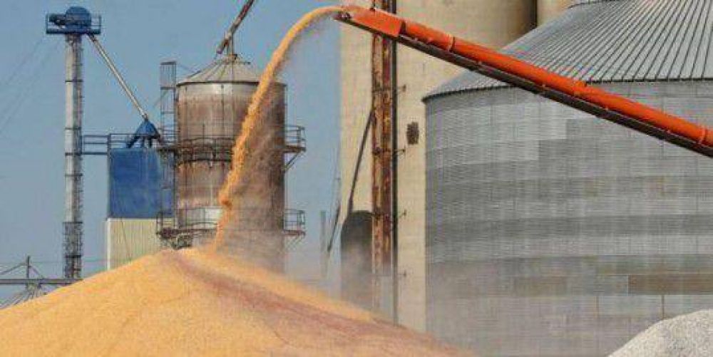 Exclusivo: las cerealeras comprarn 500 millones de dlares en Baade