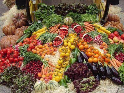El Senasa acord� con el Municipio pruebas de calidad en alimentos frescos