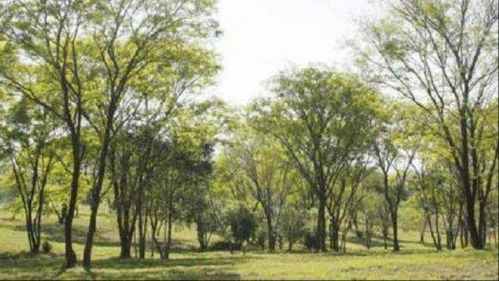 Descubri� a unos ladrones y lo mataron a tiros
