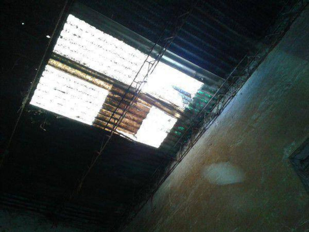 Un joven cay� de 5 metros de altura. Esta grave