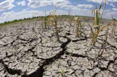 La Naci�n decret� la emergencia y desastre por la sequ�a en el Chaco