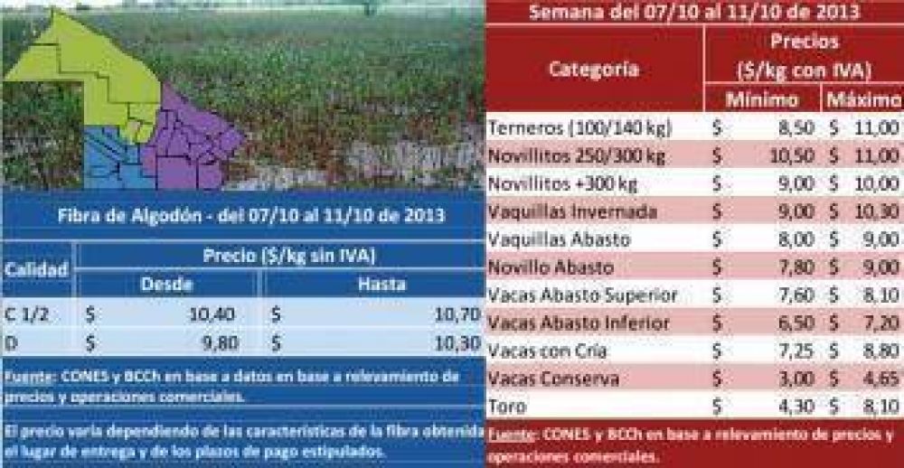 Relevamiento de la BCCh y el CONES confirma que la lluvia trajo alivio al sector agropecuario
