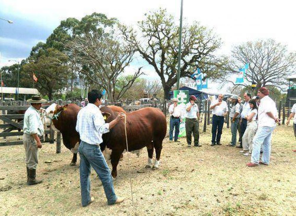Mejoras t�cnicas para ampliar la actividad comercial