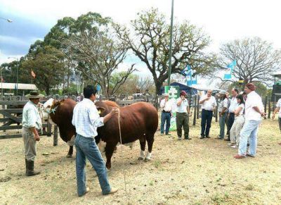 Mejoras t�cnicas para ampliar la actividad comercial