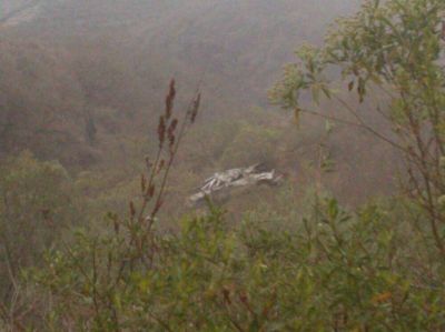 Tr�gico desbarranco en el camino a Anfama