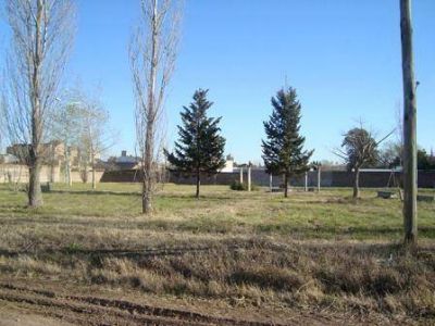 El Justicialismo de El Calafate a pleno 