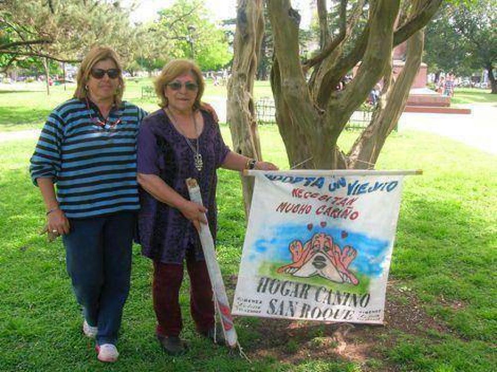 Campa�a solidaria para las ONG caninas 