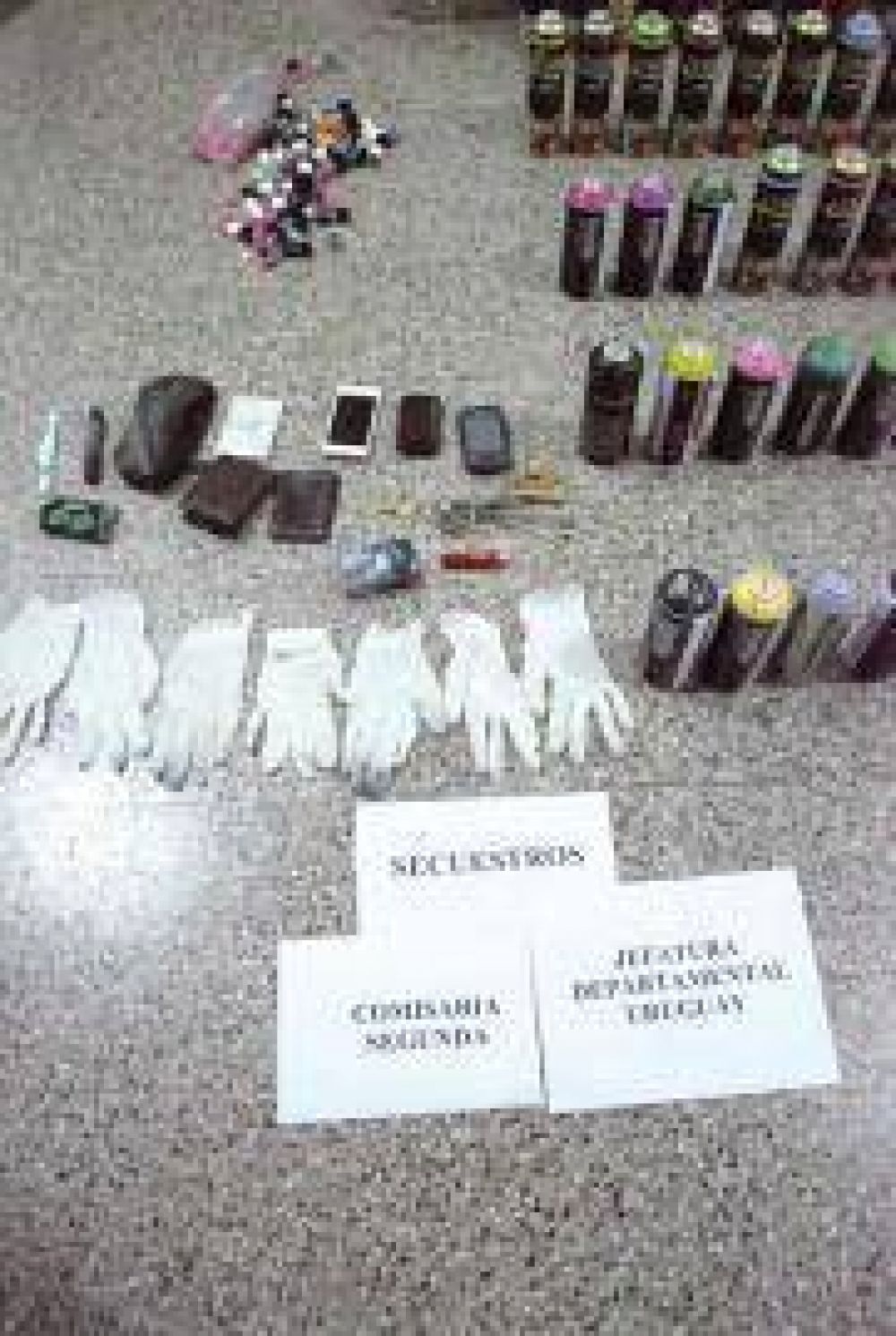 Aprehendieron a cuatro j�venes por pintar el tren