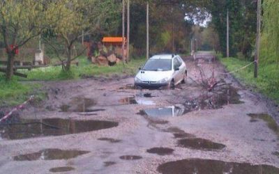 Viven en el Bosque pero no muy contentos