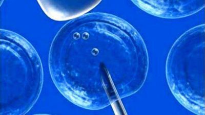 Ley de Fertilizaci�n Asistida: en Entre R�os proponen cambios	 
