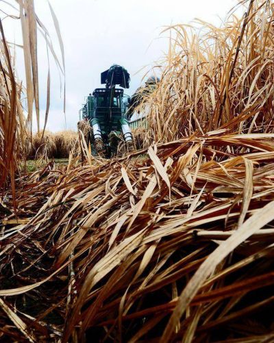 En el campo ans�an m�s lluvias para contrarrestar la sequ�a