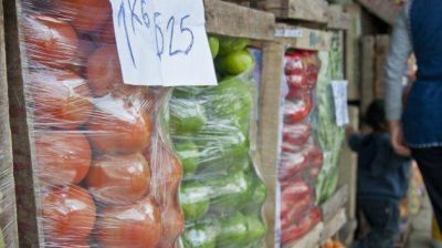 La venta del tomate se fren� en las calles y su precio baj� 35%