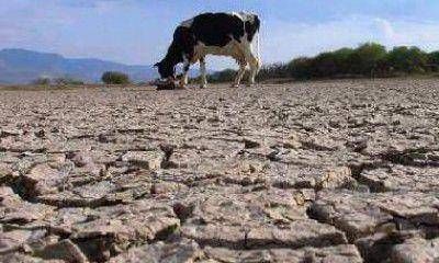 La UCR pide que el Gobierno declare la emergencia en Lavalle por la sequ�a