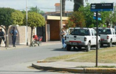 10 perros muertos en Monte Cristo