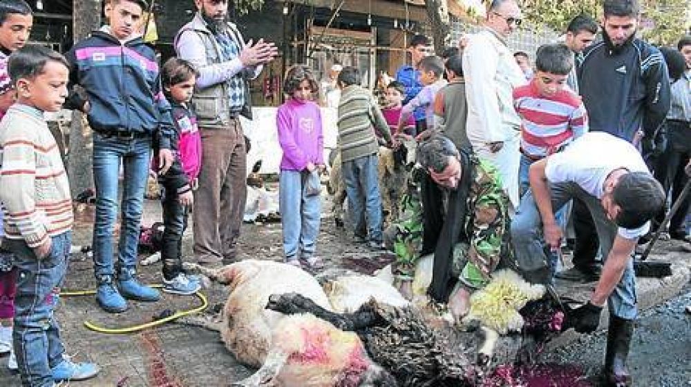 En Siria autorizan a comer gatos, perros y burros