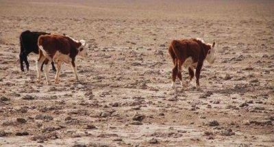 Emergencia agropecuaria para el norte de Santa Fe