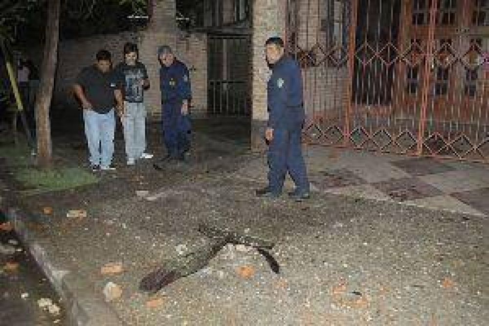 Cay� un rayo en la parroquia Santa Rosa y destruy� la cruz del campanario