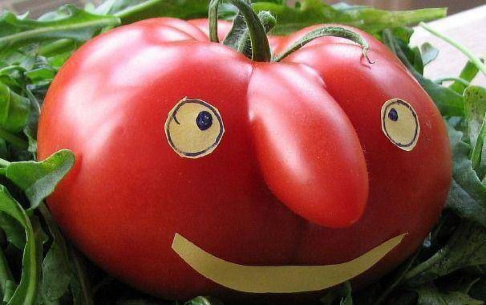 Vuelve la "napo": la semana que viene el kilo de tomate estará a $10