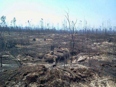 La llegada de las lluvias posibilit� el control de los incendios en Jujuy