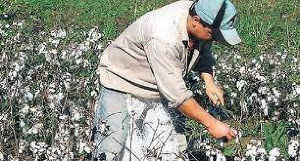 Productores comenzaron a cobrar aportes no reintegrables