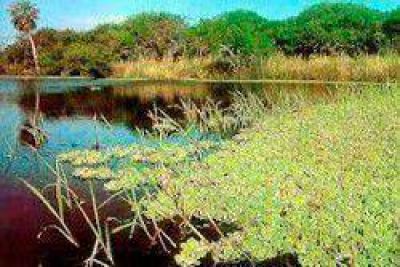 Resistencia: Un joven se ahog� en una laguna cercana al aeropuerto