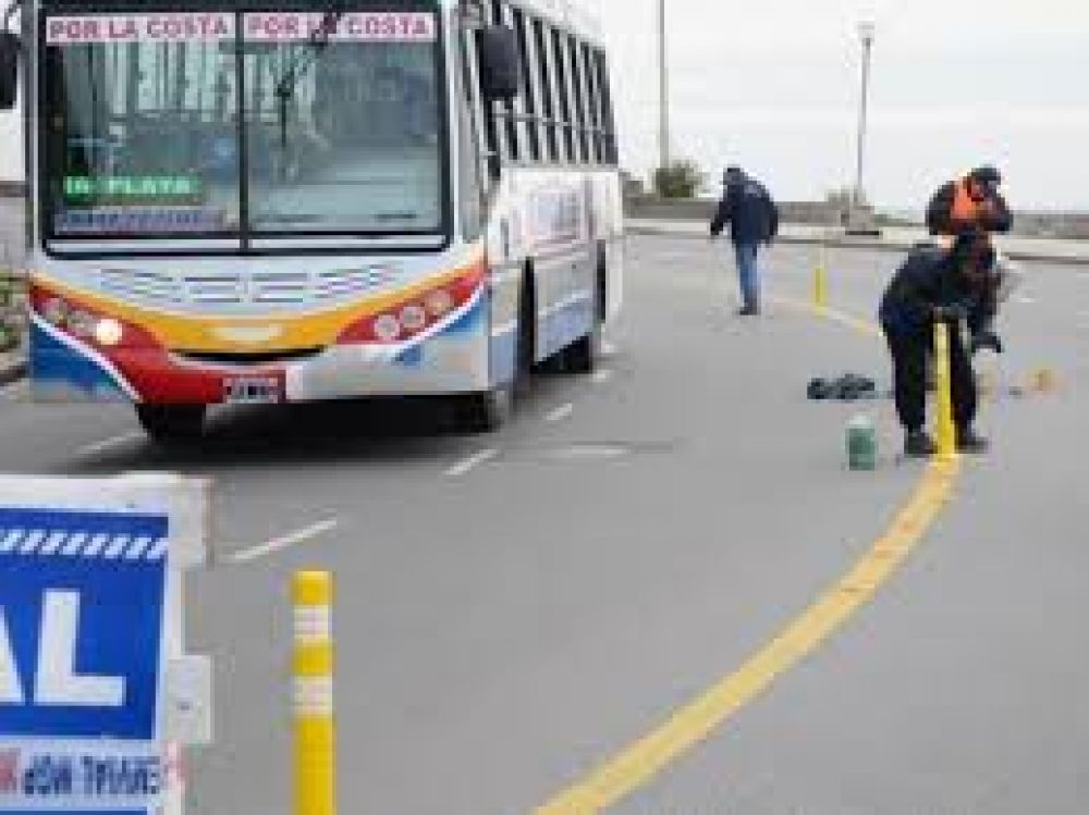 Instalan mas delineadores de tr�nsito en la ciudad