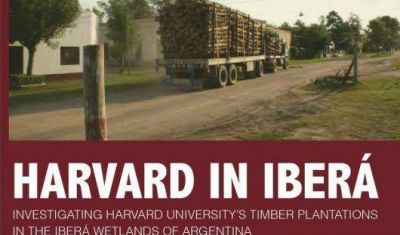 Alumnos de Harvard denuncian da�os irreparables sobre el Acu�fero Guaran�