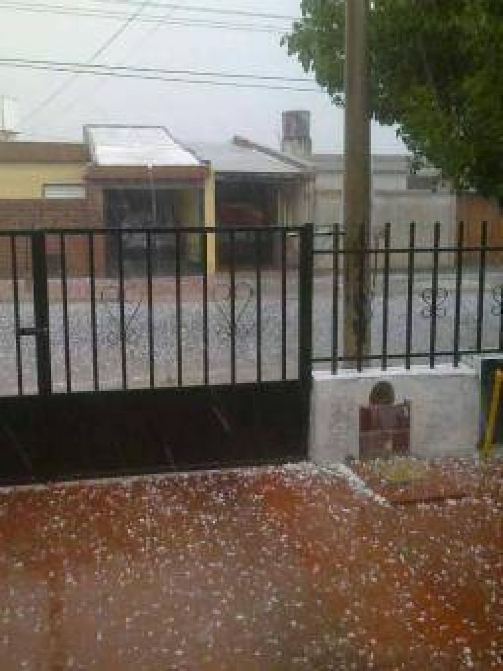 El viento, la tierra, el agua y el granizo sorprendi� a los capitalinos