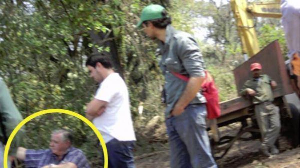El alperovichista Conte prosigue con la tala ilegal de �rboles en el sur