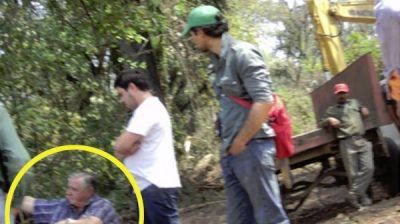 El alperovichista Conte prosigue con la tala ilegal de �rboles en el sur