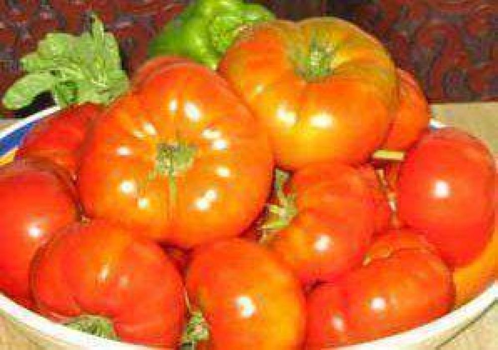 �Qu� culpa tiene el tomate...?