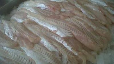 Pescados y L�cteos Popular llega a Valle Viejo