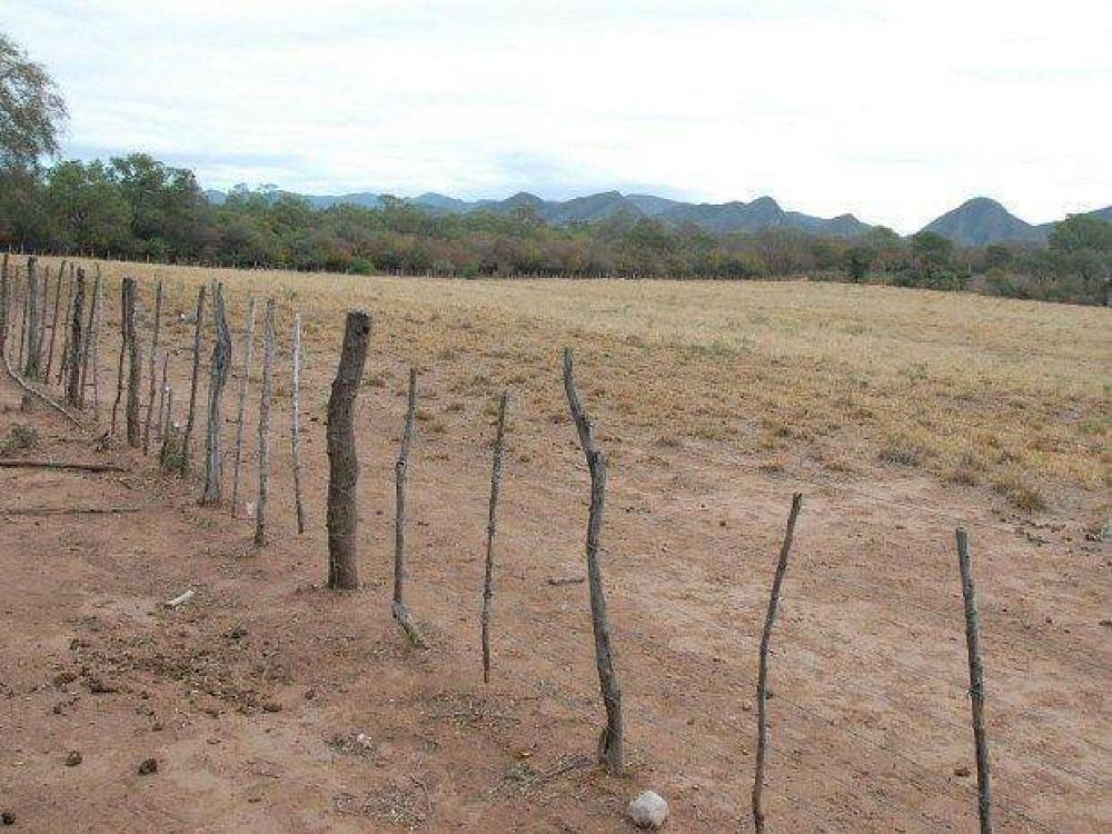 Jujuy m�s afectada por cambio clim�tico