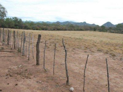 Jujuy m�s afectada por cambio clim�tico