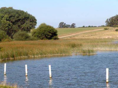 Se avanza con el cuidado de la Reserva Laguna de los Padres