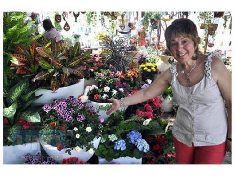 Los viveros est�n en esplendor llenos de colores y variedades