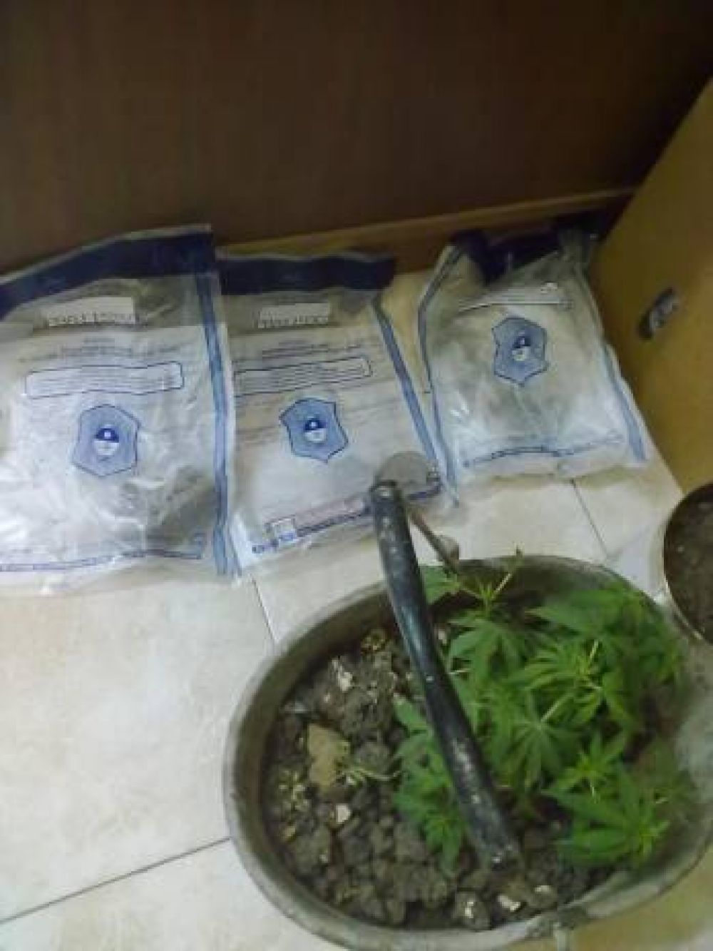 Dictan prisi�n preventiva a t�cnico de baby f�tbol por venta de drogas