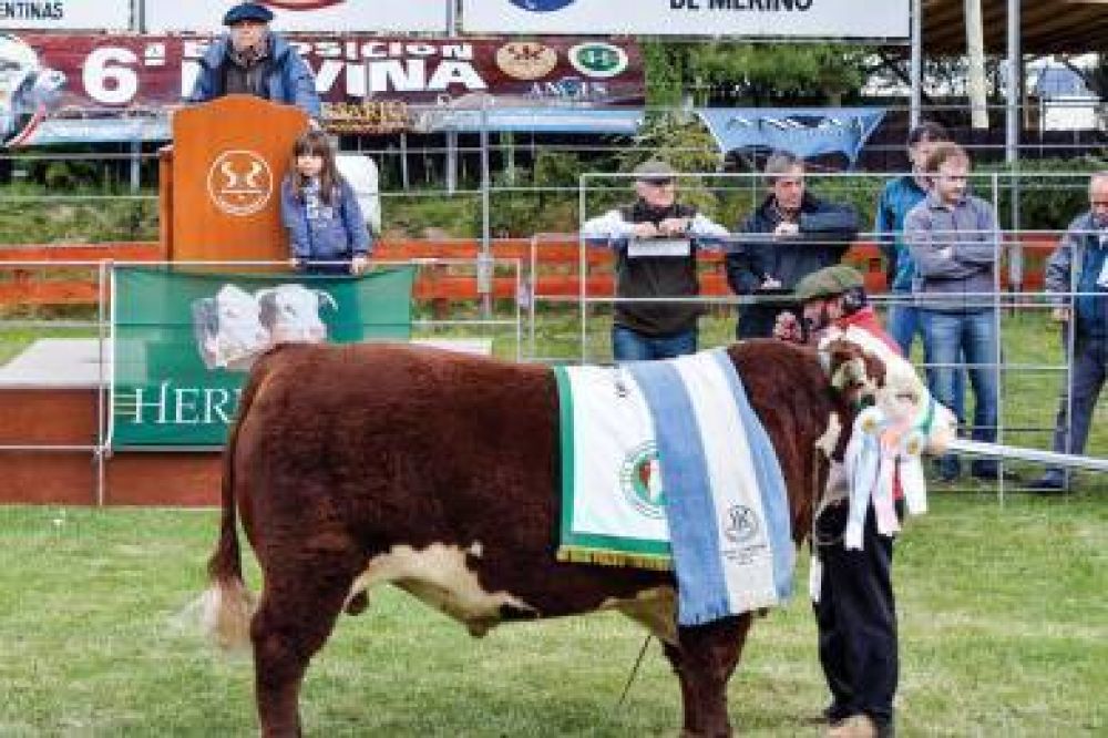 Con acusaciones a Provincia por �promesas incumplidas� finaliz� la 6� Exposici�n Bovina