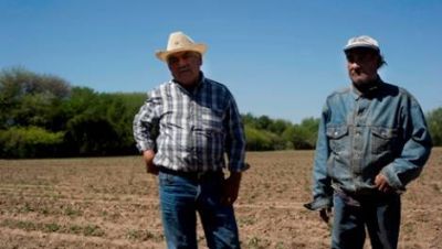 S�lo el 40% de las hect�reas son cultivadas por los colonos