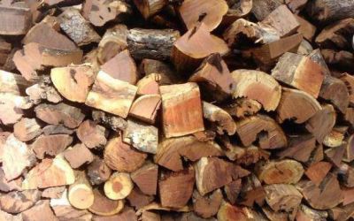 Denuncian a comerciante por explotaci�n laboral